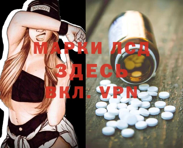 ГАЛЛЮЦИНОГЕННЫЕ ГРИБЫ Михайлов
