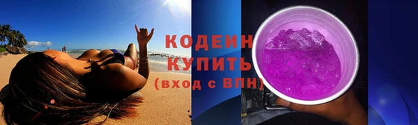 ГАЛЛЮЦИНОГЕННЫЕ ГРИБЫ Михайлов