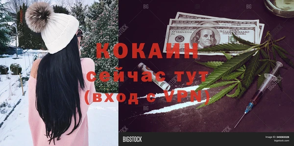 крисы Михайловка