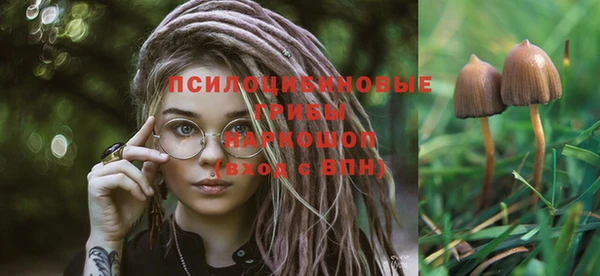 дживик Медногорск