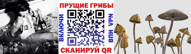 маркетплейс какой сайт  Мытищи  Псилоцибиновые грибы мухоморы 