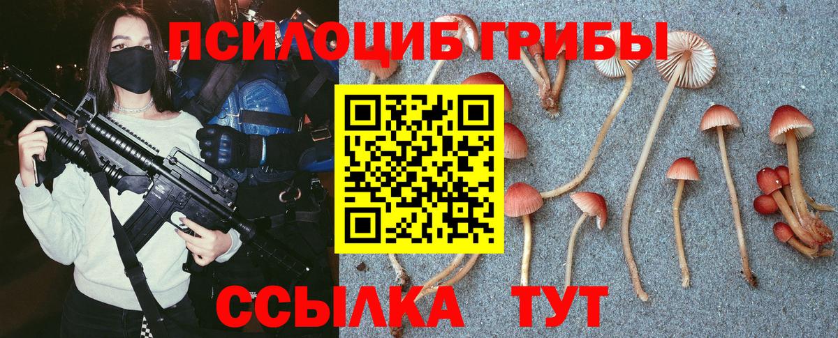 Галлюциногенные грибы Magic Shrooms Мытищи