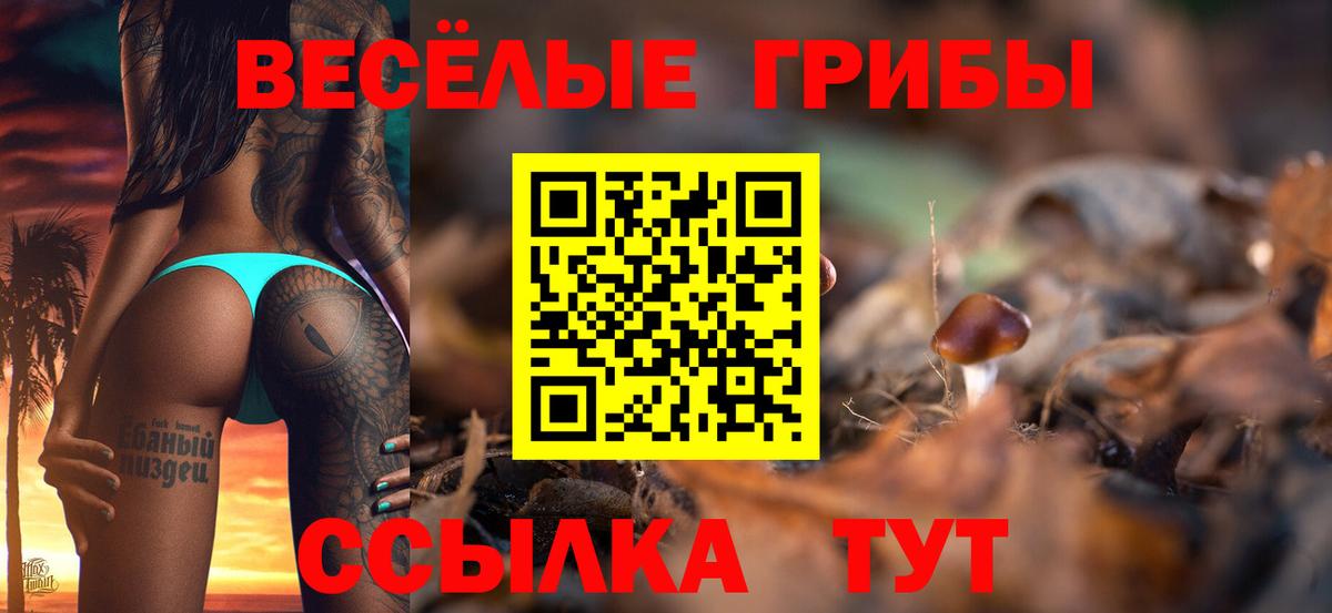 Галлюциногенные грибы MAGIC MUSHROOMS  Псилоцибиновые грибы Cubensis  Мытищи 