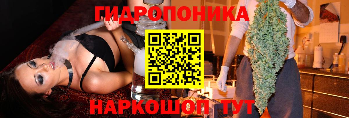 Бошки марихуана Ganja  Шишки марихуана план  Марихуана MAZAR  Мытищи 